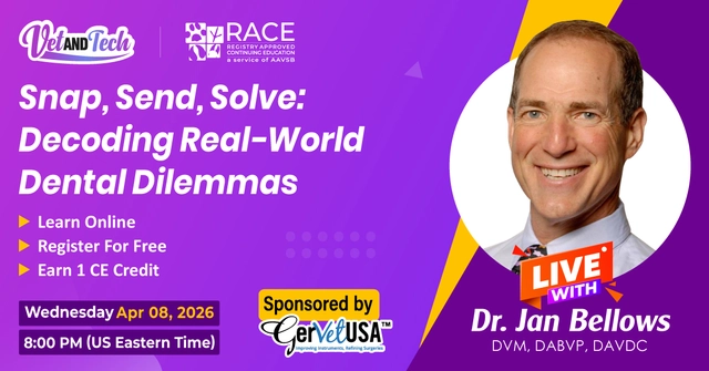 Snap, Send, Solve: Decoding Real-World Dental Dilemmas